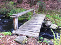 leadership_coaching_bridge