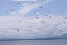 professional_development_03